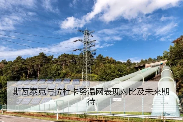 斯瓦泰克与拉杜卡努温网表现对比及未来期待 | qiedingjing